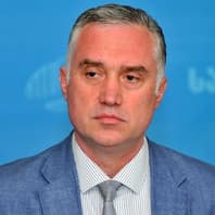 ზვიად ძიძიგური