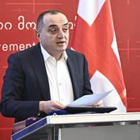 კობა ნაყოფია