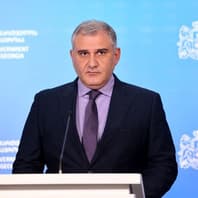 მიხეილ სარჯველაძე