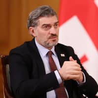 მიხეილ ყაველაშვილი