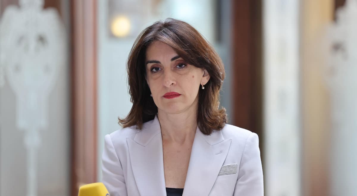 Maka Bochorishvili will participate in the event planned in Turkey - “Allies in Ankara"