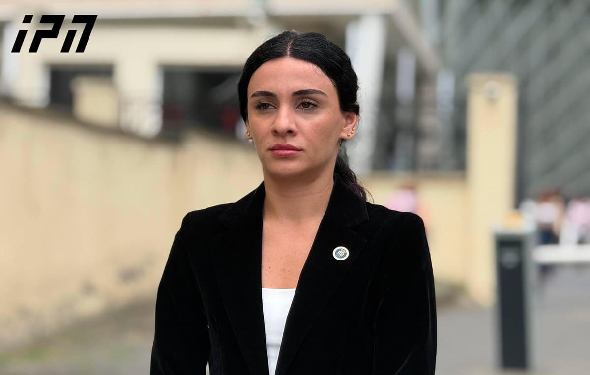 Prosecutor: The court assessed that Elisashvili’s actions constituted an attempted terrorist act - the judge also explained that the defendant did not deserve the minimum sentence because he did not admit guilt or show remorse