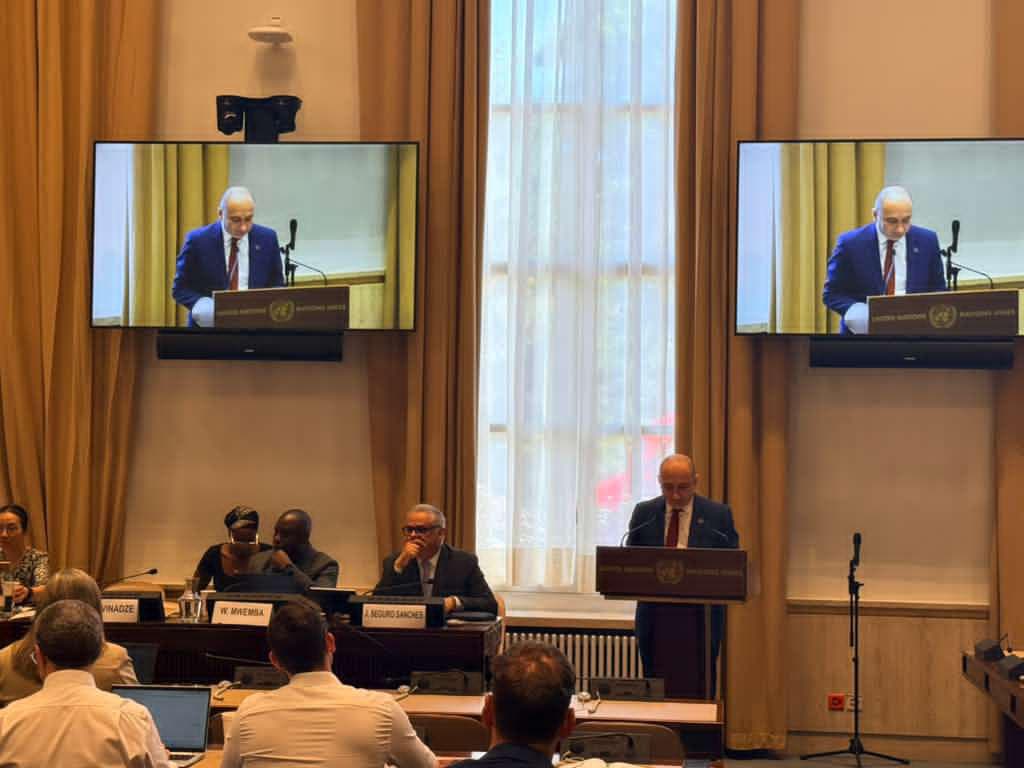 ირაკლი ლექვინაძემ UNCTAD-ის მაღალი დონის საერთაშორისო შეხვედრაზე ორგანიზაციის წევრი ქვეყნების წარმომადგენლებს ICPEN-ის ხელმძღვანელობის პრიორიტეტები წარუდგინა
