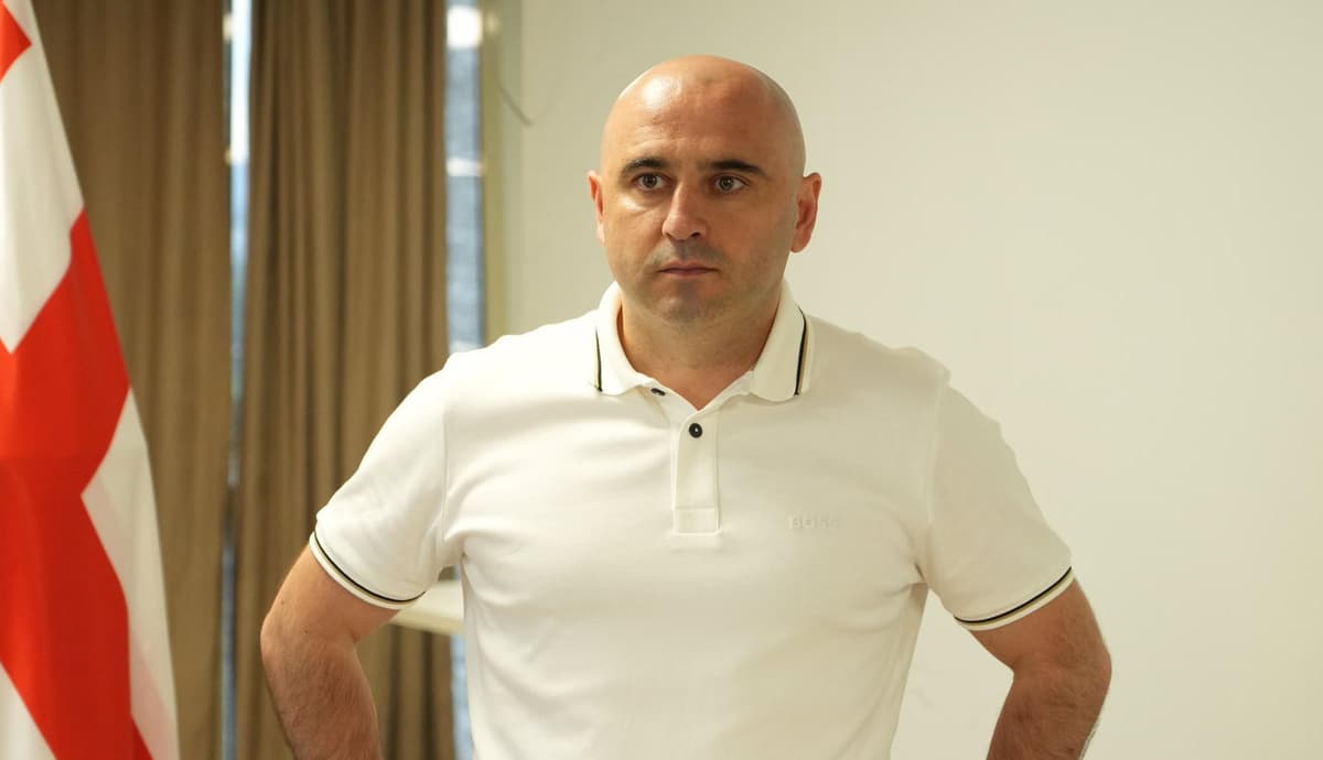Levan Khabeishvili - I would like to ask you to be careful with our big family, the National Movement - everyone should refrain from publicly insulting our family, everyone should show patience, be reasonable and not harm our team