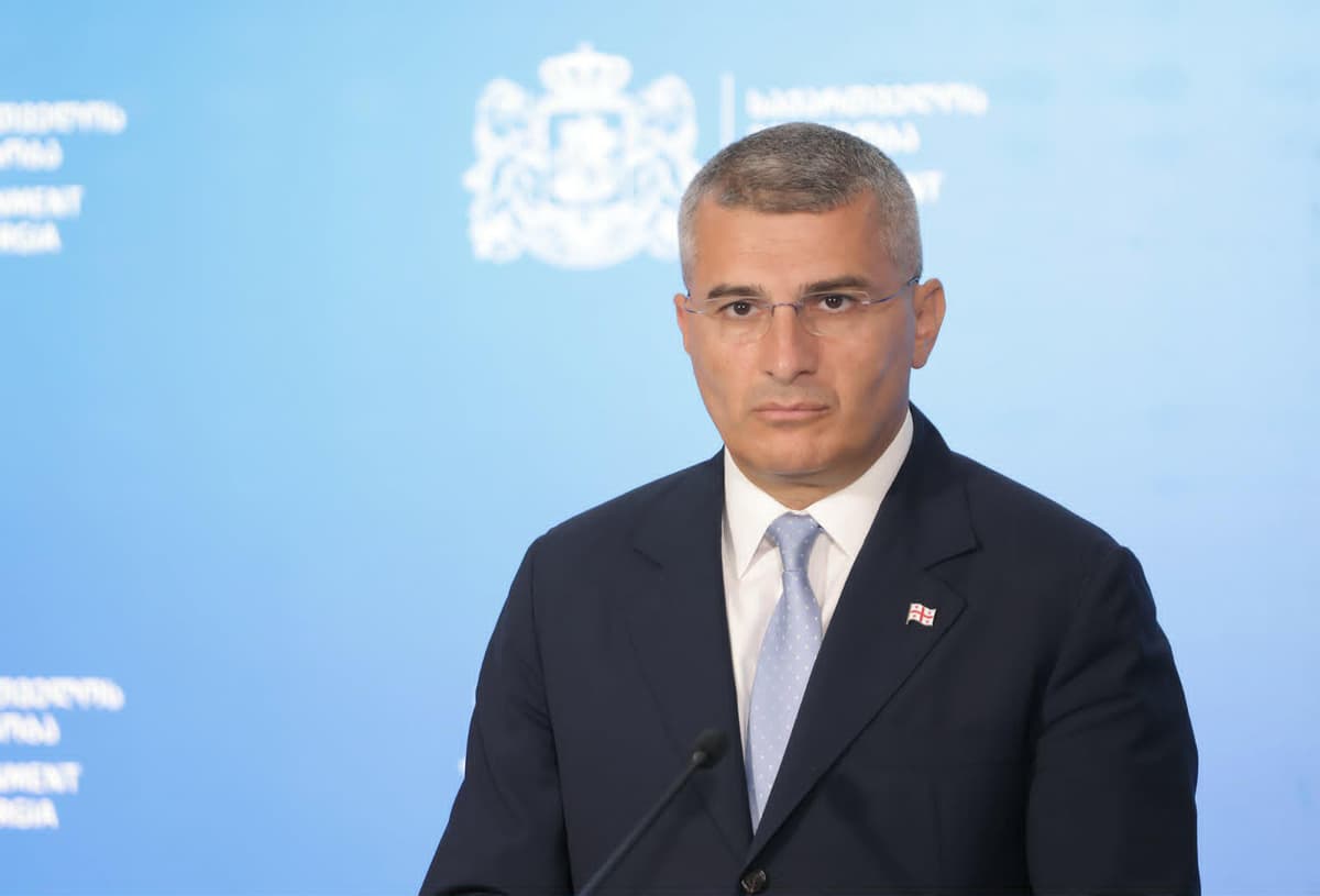 მამუკა მდინარაძე თანამდებობას ტოვებს და პოლიტიკიდან მიდის