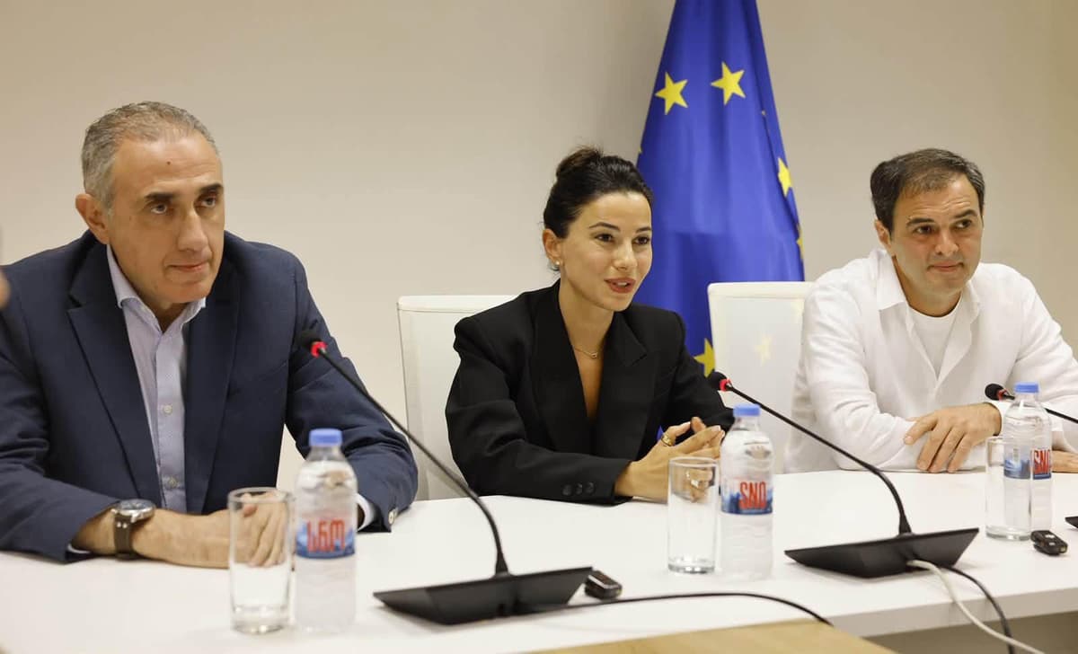 საქართველოს სახელმწიფო ელექტროსისტემის გენერალურ დირექტორად დავით ვარდიაშვილი დაინიშნა